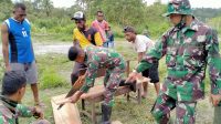 Wujud Kepedulian Pos Kalimao Satgas Yonif 312/KH Bantu Pemakaman Warga Di Perbatasan