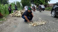 AMPI, HMI PEDULI JALAN RUSAK DAN MENDUKUNG PROGRAM PEMKAB SIMALUNGUN