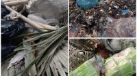 Diduga Sampah Industri PT. UOI KEK Sei Mankei Cemari Lingkungan