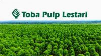 Penjelasan Paktisi Lingkungan, Pohon Eucalyptus Tidak Cemari Kelestarian Danau Toba