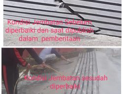 Terkait Pemberitaan Jembatan Seruni Pesanggrahan, DPC PPWI : Fakta Dilapangan Benar, Kades Jangan Anti Kritik dan Baperan