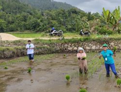 TOBA PULP LESTARI TBK DUKUNG PENUH PEREKONOMIAN MASYARAKAT DI BIDANG PERTANIAN.