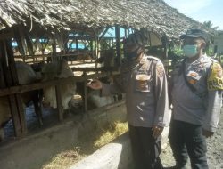 Sat Binmas Polres Batu Bara Lakukan Pengecekan Hewan Ternak di Desa Empat Negeri.