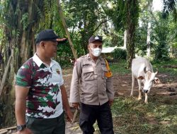 Kepolisian Resor Simalungun Lakukan Pendampingan Vaksinasi Hewan Di Kelurahan Kerasaan I Pematang Bandar