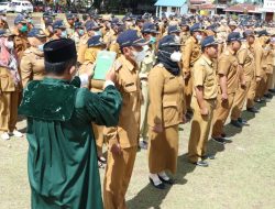 Bupati Simalungun Lantik 245 Orang Pejabat Pangulu Tahun 2022