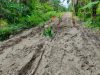 Warga Keluhkan Hancurnya Kondisi Jalan di Desa Kandangan Kabupaten Batu Bara