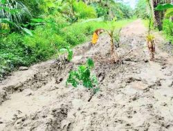 Warga Keluhkan Hancurnya Kondisi Jalan di Desa Kandangan Kabupaten Batu Bara