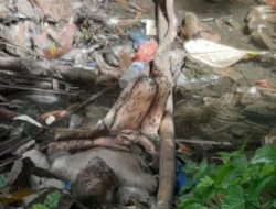 Polsek Bangun Evakuasi Temuan Mayat Di Aliran Parit