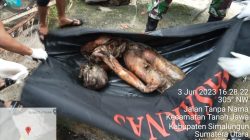Polsek tanah Jawa Bantu Evakuasi Penemuat Mayat di Aek Mombuaya