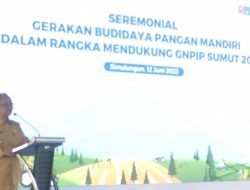 Wakil Bupati Simalungun Hadiri Seremonial Gerakan Budidaya Pangan Mandiri Tahun 2023