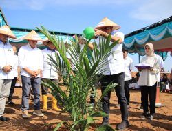 73 Hektar HGU Limau Mungkur Mulai Ditanam Ulang