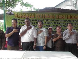 Peternak Babi Indonesia Gelar Sosialisasi Penanggulangan Virus ASF