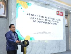 Membangun Perlindungan Kekayaan Intelektual di Batu Bara Pemkab Berkolaborasi Dengan APHKI