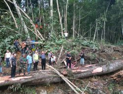 Gerak Cepat Bupati Simalungun dan Kapolres Tinjau Longsor di Nagori Durian Banggal