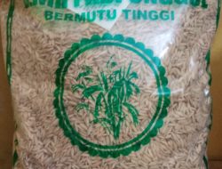 Penangkar Bibit Padi di Batu Bara Tidak Bisa Tunjukkan Sertifikat