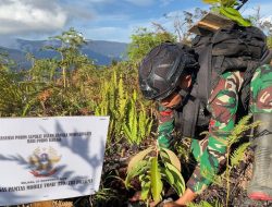 Satgas 330 Peringati Hari Pohon Sedunia, Laksanakan Patroli dan Reboisasi Hutan Gundul di Intan Jaya