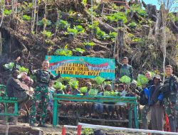 Dari Bumi Papua Untuk Masyarakat Papua, Satgas 330 Bagikan Hasil Panen Sayuran Organik