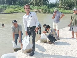 Yayasan Cinta Lingkungan Hidup Lentera Nusantara Tabur 10 Ribu Benih Ikan Patin di Sei Tanjung