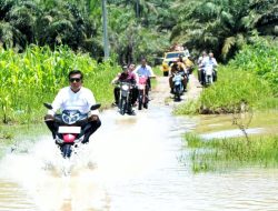 Bupati Simalungun dan Kadis PUTR Tinjau Kondisi Jalan Penghubung Nagori Sordang Bolon Menuju Bangun Sordang