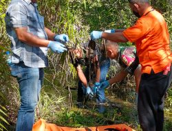 Masyarakat Desa Lalang Kecamatan Tanjung Tiram Digegerkan Penemuan Kerangka Manusia