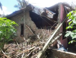 Cuaca Ekstrim Hujan Deras Diiringi Angin Kencang, Rumah Muhammad Irpan Tertimpa Pohon Aren