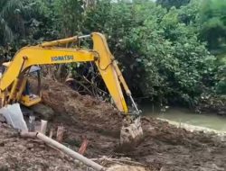 Diduga Tanggul Pendingin Limbah PKS Kebun Gunung Bayu Jebol, Ribuan Ikan Nila di Keramba Mati