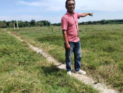 Lapangan Sepak Bola Berbiaya Rp 2,7 M Milik Pemkab Batu Bara Terlantar