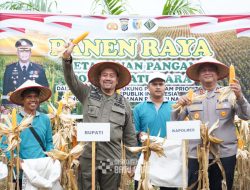 Bupati Batu Bara Bersama Kapolres Lakukan Panen Raya Jagung