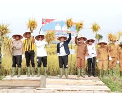Panen Raya Padi Sawah di Kecamatan Tanah Jawa, Bupati Simalungun Berharap Ada Kenaikan Hasil