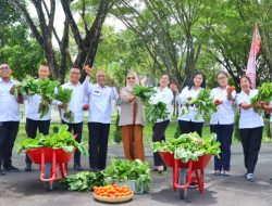 Ketua TP PKK Simalungun Panen Sawi di Pekarangan Rumah, Dibagikan ke Masyarakat Sekitar