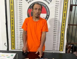 Bandar Sabu Sargusman Sinaga Tak Berkutik Diringus Polsek Raya Kahean di Kebun Sawit
