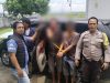 Dua Pencuri Lembu Pakai Mobil Sedan Diringkus Polsek Dolok Batu Nanggar